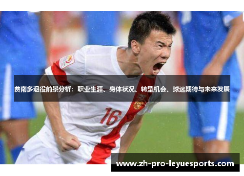 费南多退役前景分析：职业生涯、身体状况、转型机会、球迷期待与未来发展