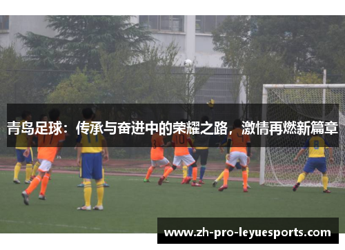 青岛足球：传承与奋进中的荣耀之路，激情再燃新篇章