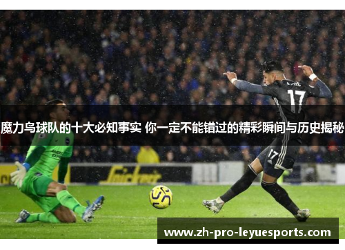 魔力鸟球队的十大必知事实 你一定不能错过的精彩瞬间与历史揭秘