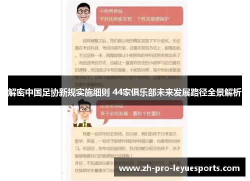 解密中国足协新规实施细则 44家俱乐部未来发展路径全景解析
