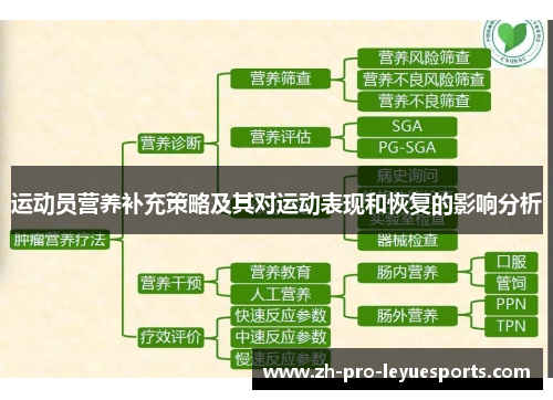 运动员营养补充策略及其对运动表现和恢复的影响分析